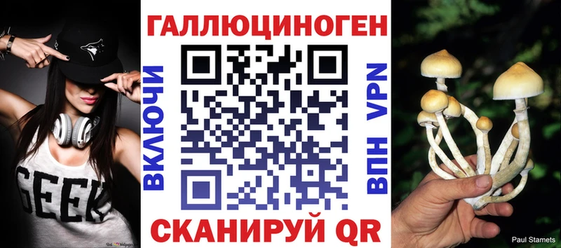 сайты даркнета телеграм  наркотики  Клин  Галлюциногенные грибы мицелий 